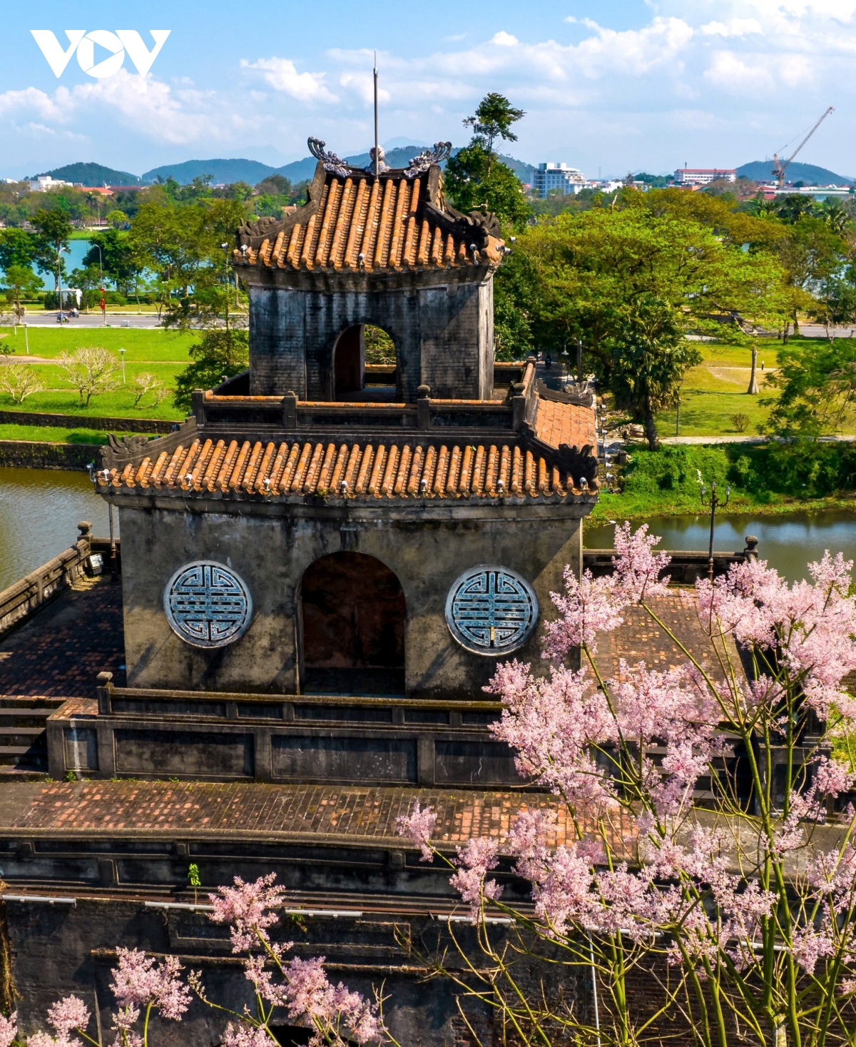 ngắm vương giả chi hoa khoe sắc trong quần thể di tích cố đô huế hình ảnh 8 ngam vuong gia chi hoa khoe sac trong quan the di tich co do hue hinh anh 8