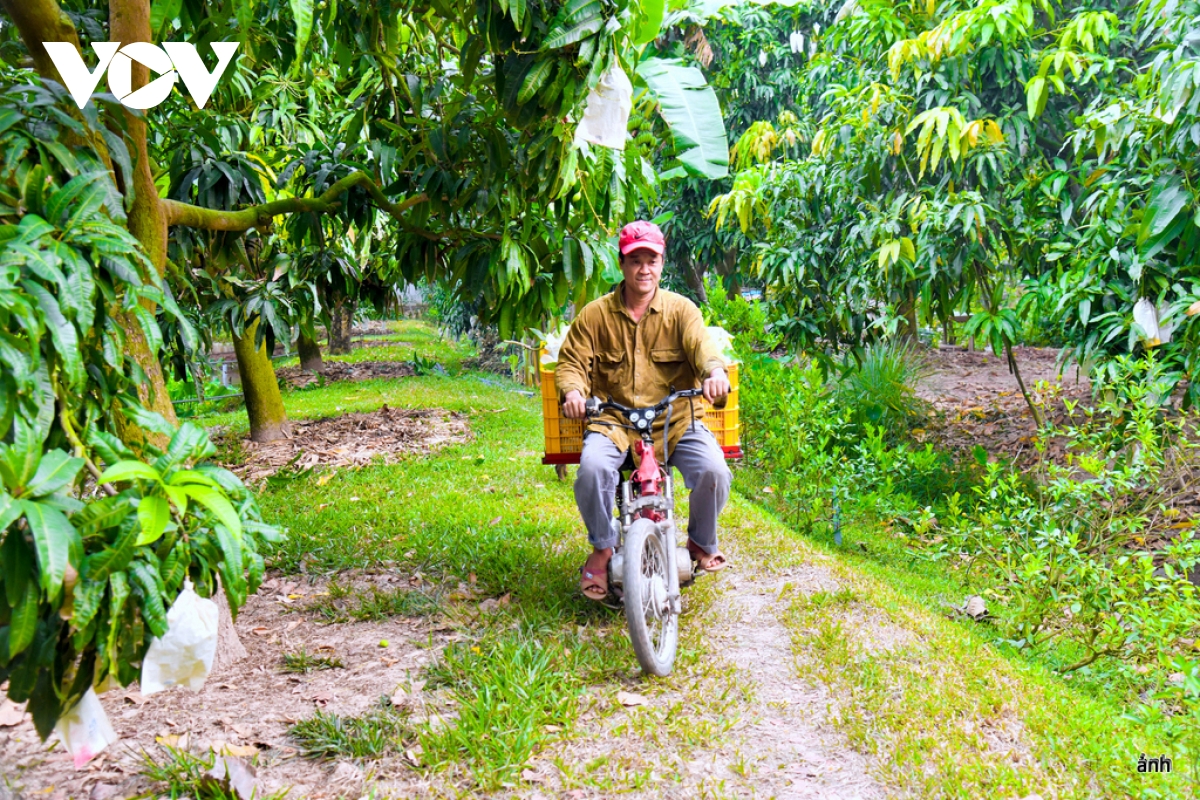 nông nghiệp vùng Đbscl khẳng định vị thế xuất khẩu hình ảnh 6 nong nghiep vung Dbscl khang dinh vi the xuat khau hinh anh 6