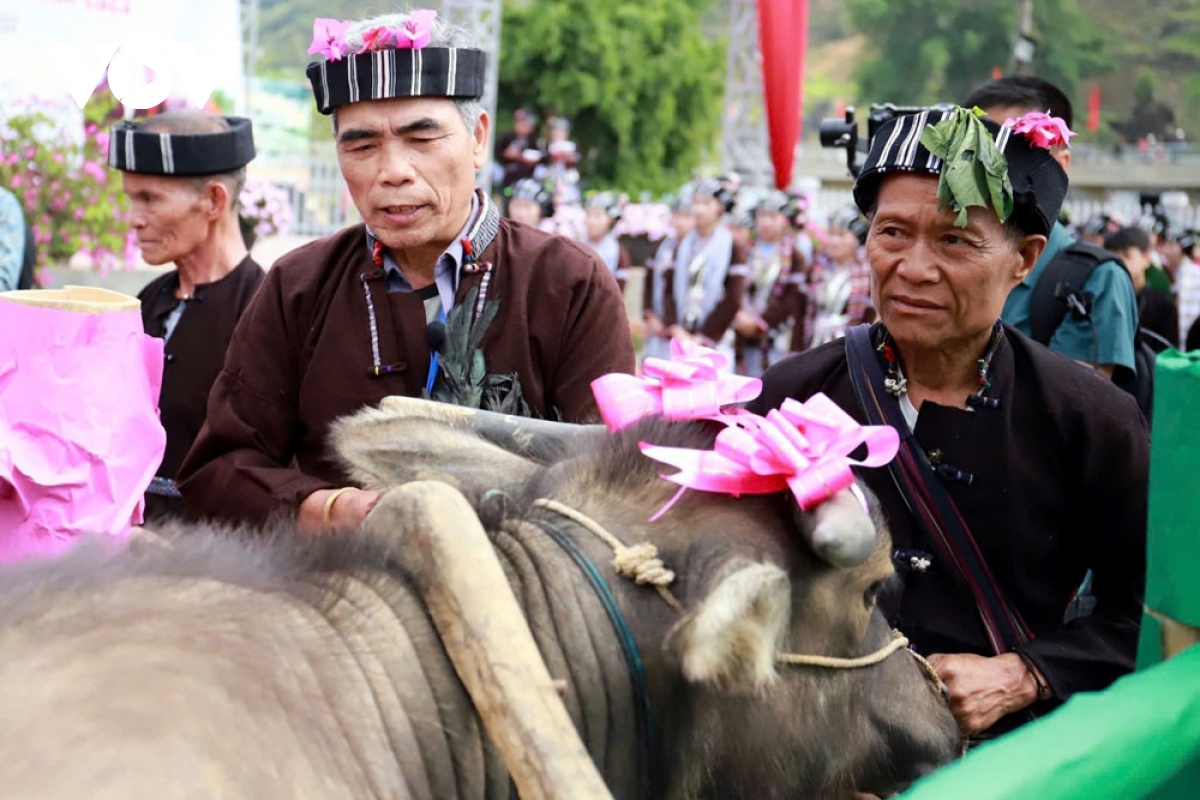 khai mac le hoi su khon khoai va trinh dien nghe det tho cam cua nguoi lu hinh anh 3