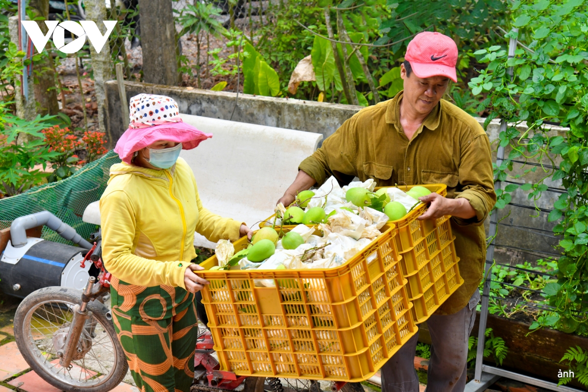 thay doi tu duy huong den nen nong nghiep ben vung hinh anh 5