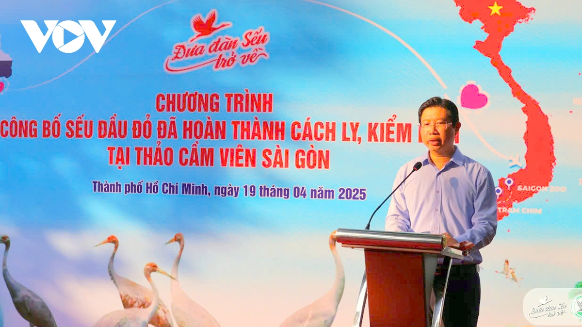 Đưa 6 cá thể sếu đầu đỏ về vườn quốc gia tràm chim hình ảnh 2 Dua 6 ca the seu dau do ve vuon quoc gia tram chim hinh anh 2