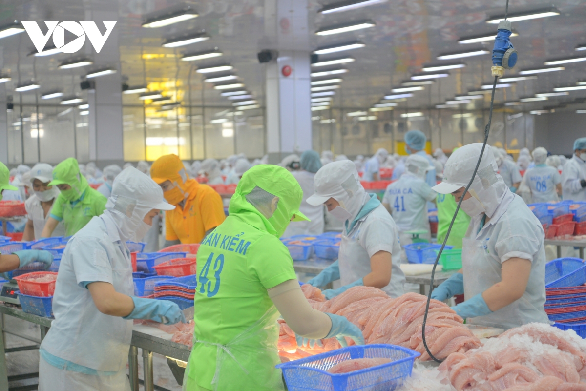 Đbscl với trọng trách an ninh lương thực và bảo vệ môi trường hình ảnh 8 Dbscl voi trong trach an ninh luong thuc va bao ve moi truong hinh anh 8
