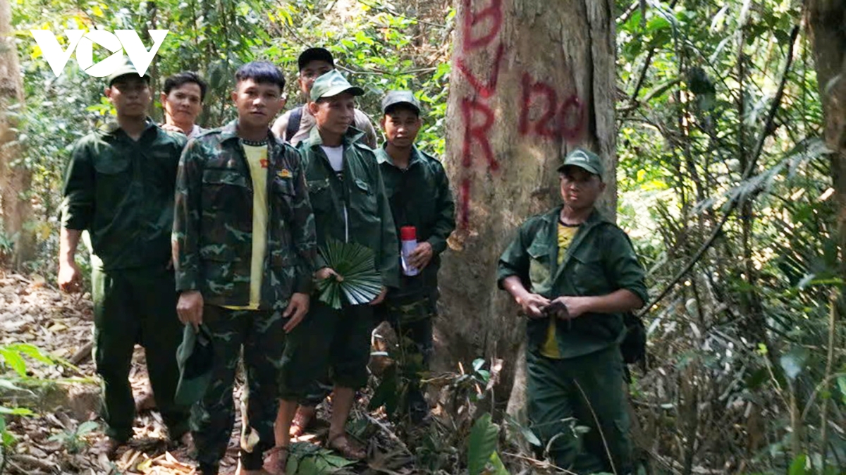 nam giang huy động sức mạnh của toàn dân tuần tra, bảo vệ rừng hình ảnh 2 nam giang huy dong suc manh cua toan dan tuan tra, bao ve rung hinh anh 2
