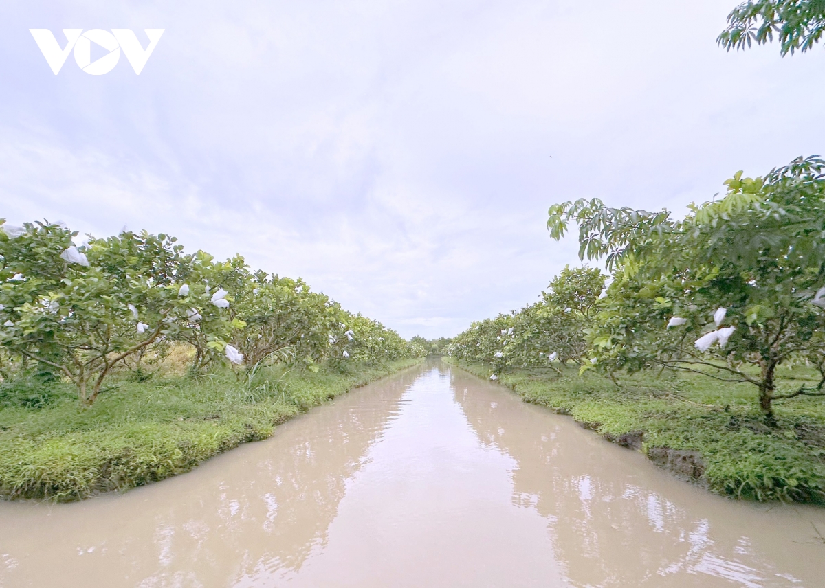 Đbscl với trọng trách an ninh lương thực và bảo vệ môi trường hình ảnh 5 Dbscl voi trong trach an ninh luong thuc va bao ve moi truong hinh anh 5