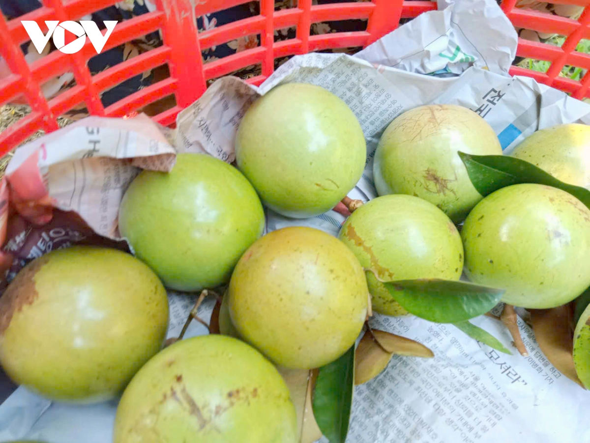nông nghiệp vùng Đbscl khẳng định vị thế xuất khẩu hình ảnh 7 nong nghiep vung Dbscl khang dinh vi the xuat khau hinh anh 7