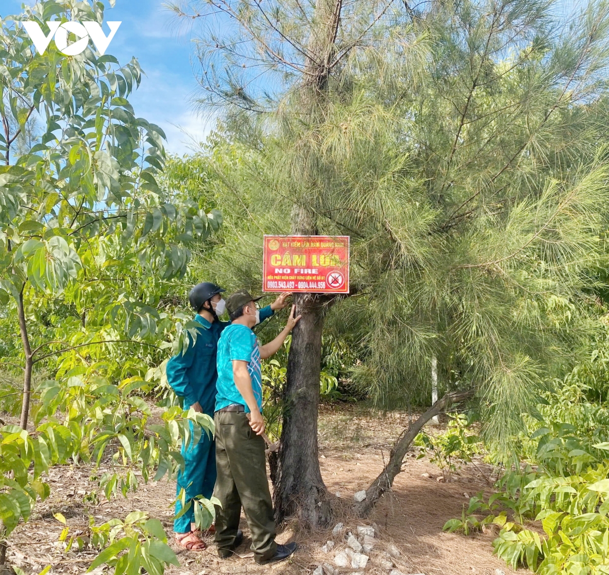 huyện miền núi nam giang chủ động phòng chống, cháy rừng hình ảnh 6 huyen mien nui nam giang chu dong phong chong, chay rung hinh anh 6