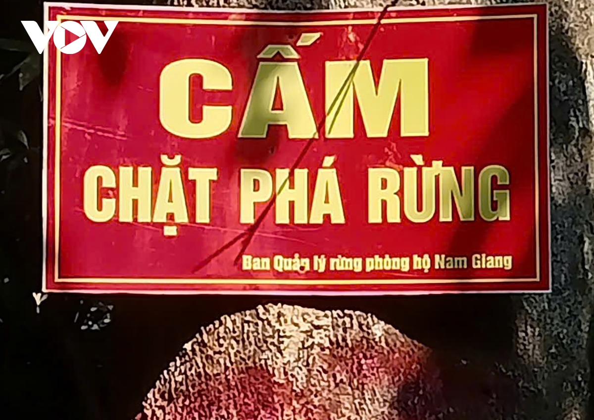 nam giang huy động sức mạnh của toàn dân tuần tra, bảo vệ rừng hình ảnh 1 nam giang huy dong suc manh cua toan dan tuan tra, bao ve rung hinh anh 1