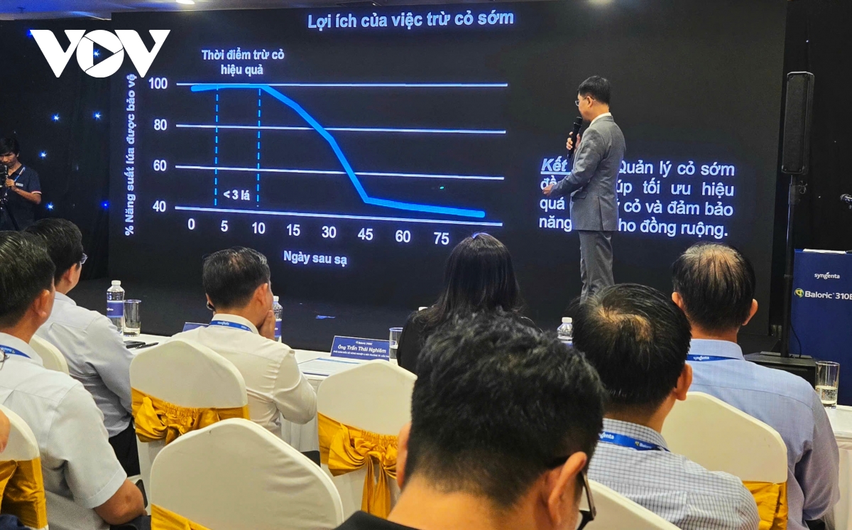doanh nghiệp quốc tế cùng nông dân Đbscl hợp tác phát triển lúa bền vững hình ảnh 1 doanh nghiep quoc te cung nong dan Dbscl hop tac phat trien lua ben vung hinh anh 1