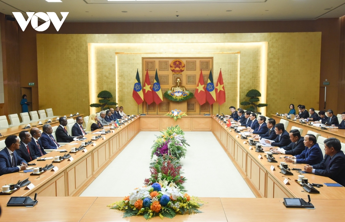 viet nam va ethiopia nhat tri nghien cuu som mo co quan dai dien ngoai giao tai moi nuoc hinh anh 1