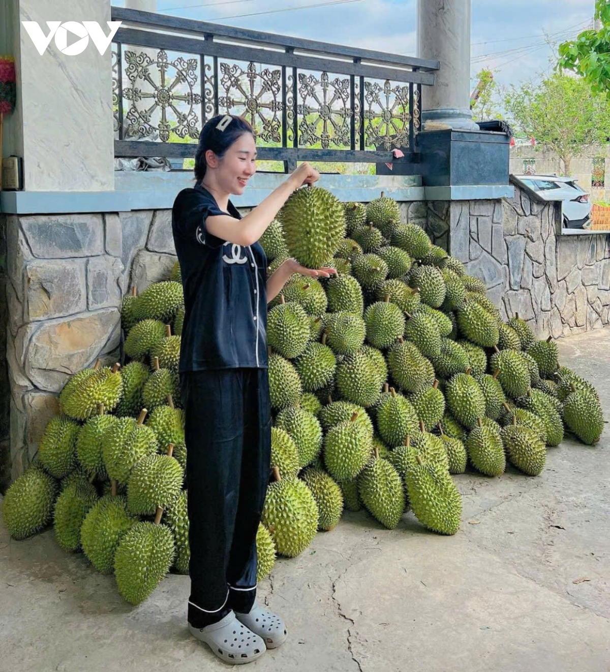 tien giang nhan rong cap ma so vung trong, nang cao chat luong trai cay hinh anh 2