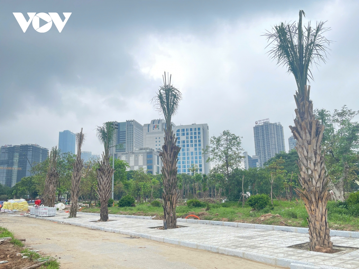 công viên cầu giấy đang dần lột xác sau hơn 3 tháng cải tạo hình ảnh 3 cong vien cau giay dang dan lot xac sau hon 3 thang cai tao hinh anh 3