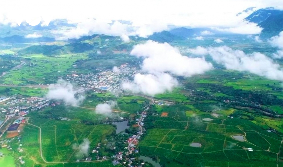 Tan Uyen tea hill - a green jewel hidden in northwestern mountains