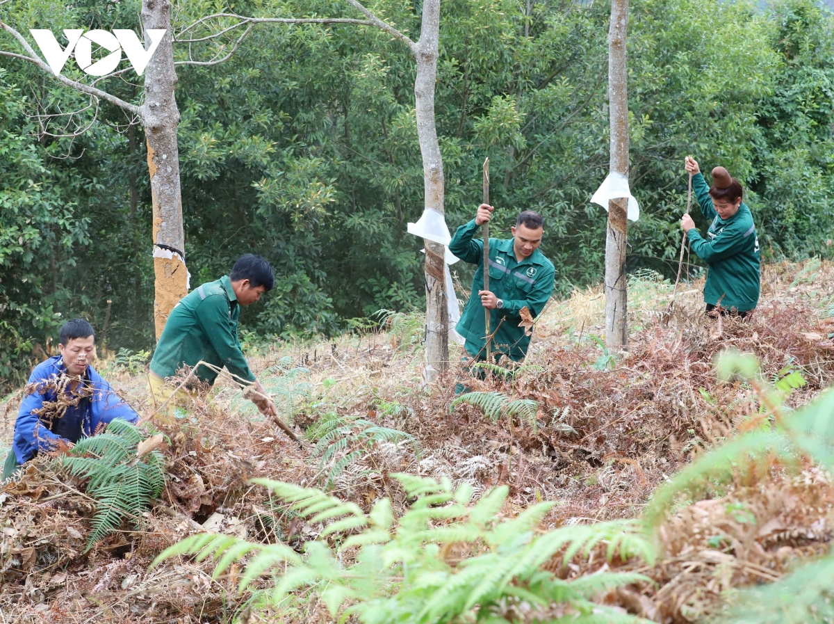 tình hình cháy, nổ, tai nạn, sự cố tại sơn la giảm rõ rệt hình ảnh 4 tinh hinh chay, no, tai nan, su co tai son la giam ro ret hinh anh 4
