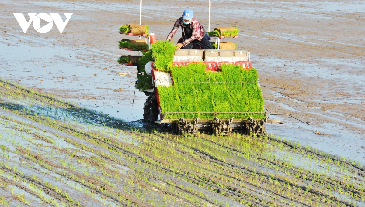 an giang Đẩy mạnh chuyển đổi số hướng tới nông nghiệp thông minh hình ảnh 3 an giang Day manh chuyen doi so huong toi nong nghiep thong minh hinh anh 3