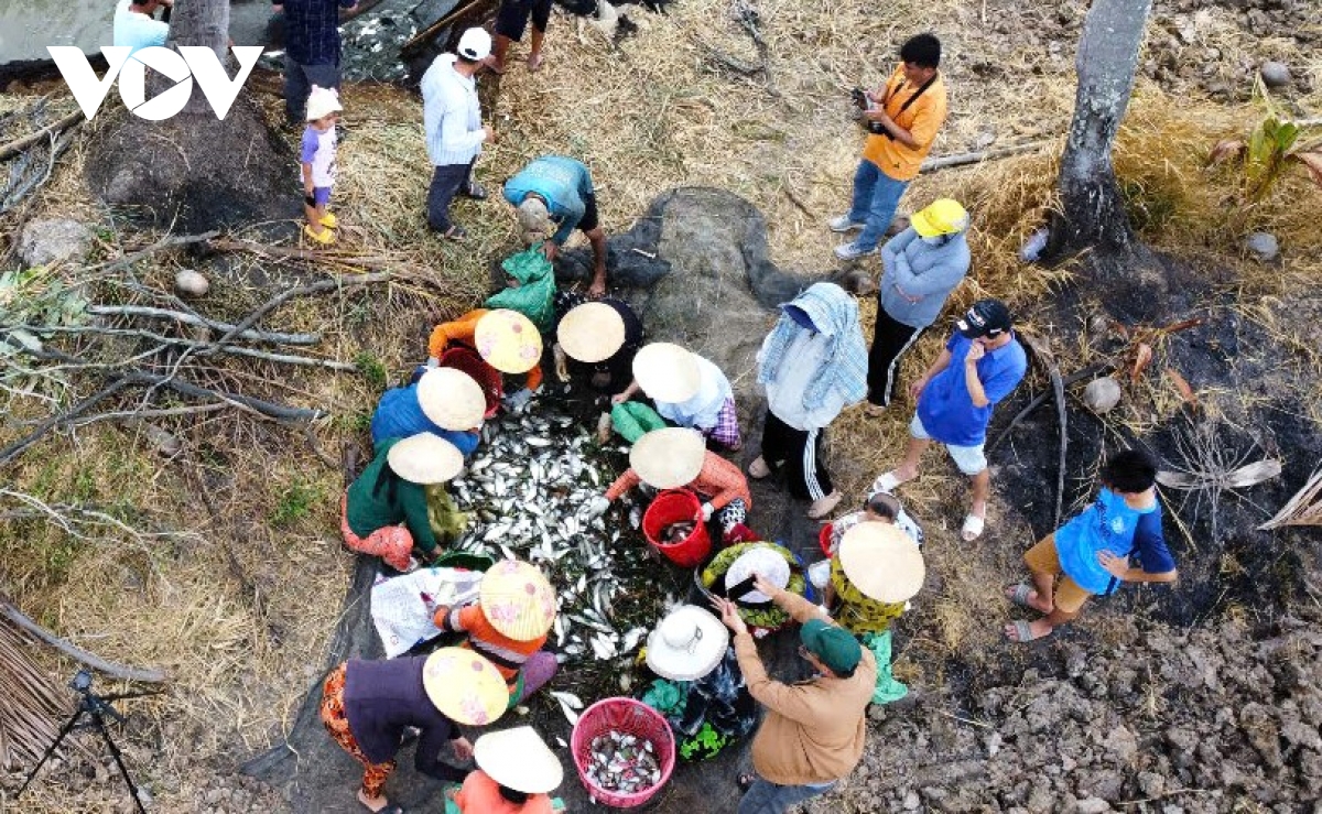 Cà Mau: Giữ “đạo bắt cá của ông bà” để khôi phục cá đồng