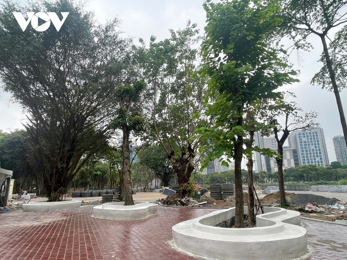công viên cầu giấy đang dần lột xác sau hơn 3 tháng cải tạo hình ảnh 10 cong vien cau giay dang dan lot xac sau hon 3 thang cai tao hinh anh 10