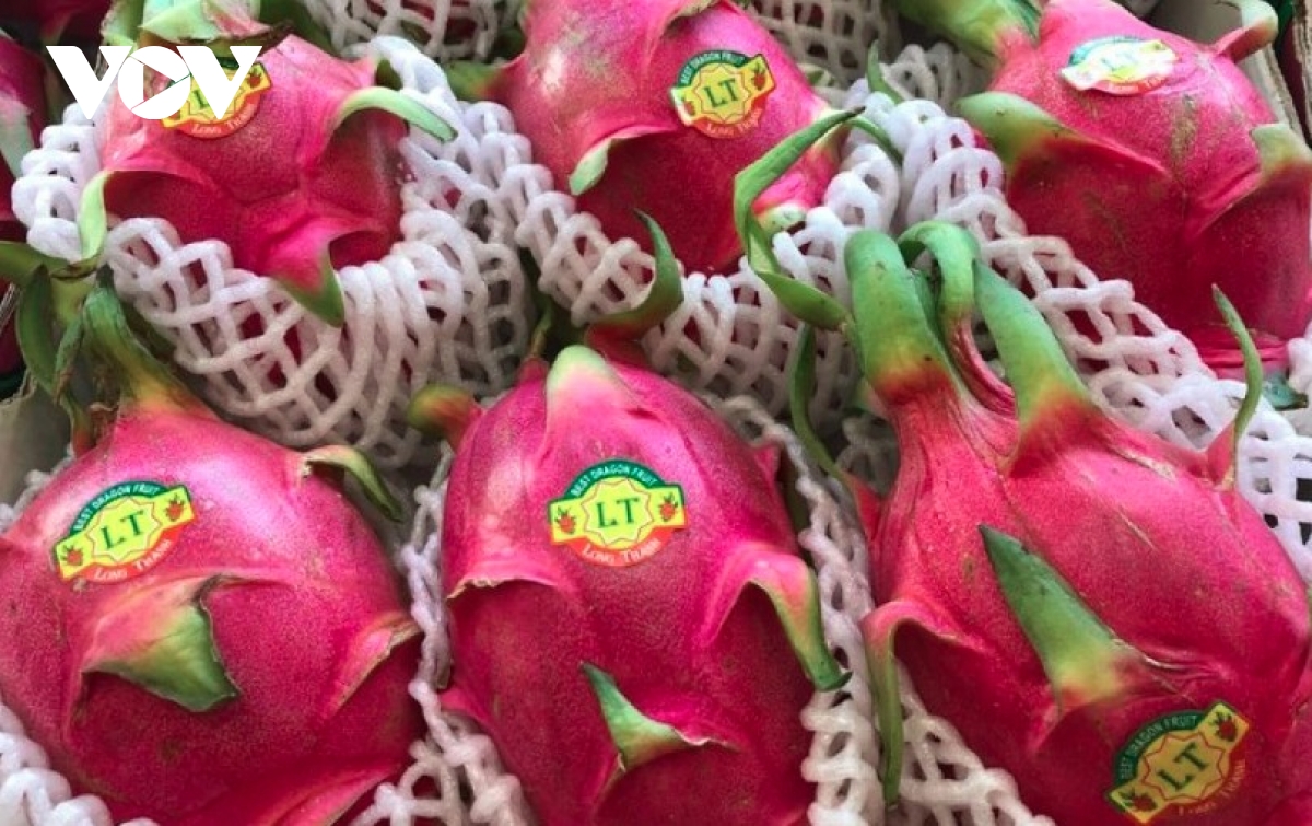 Vietnam, UK deepen agricultural partnership through stronger business links