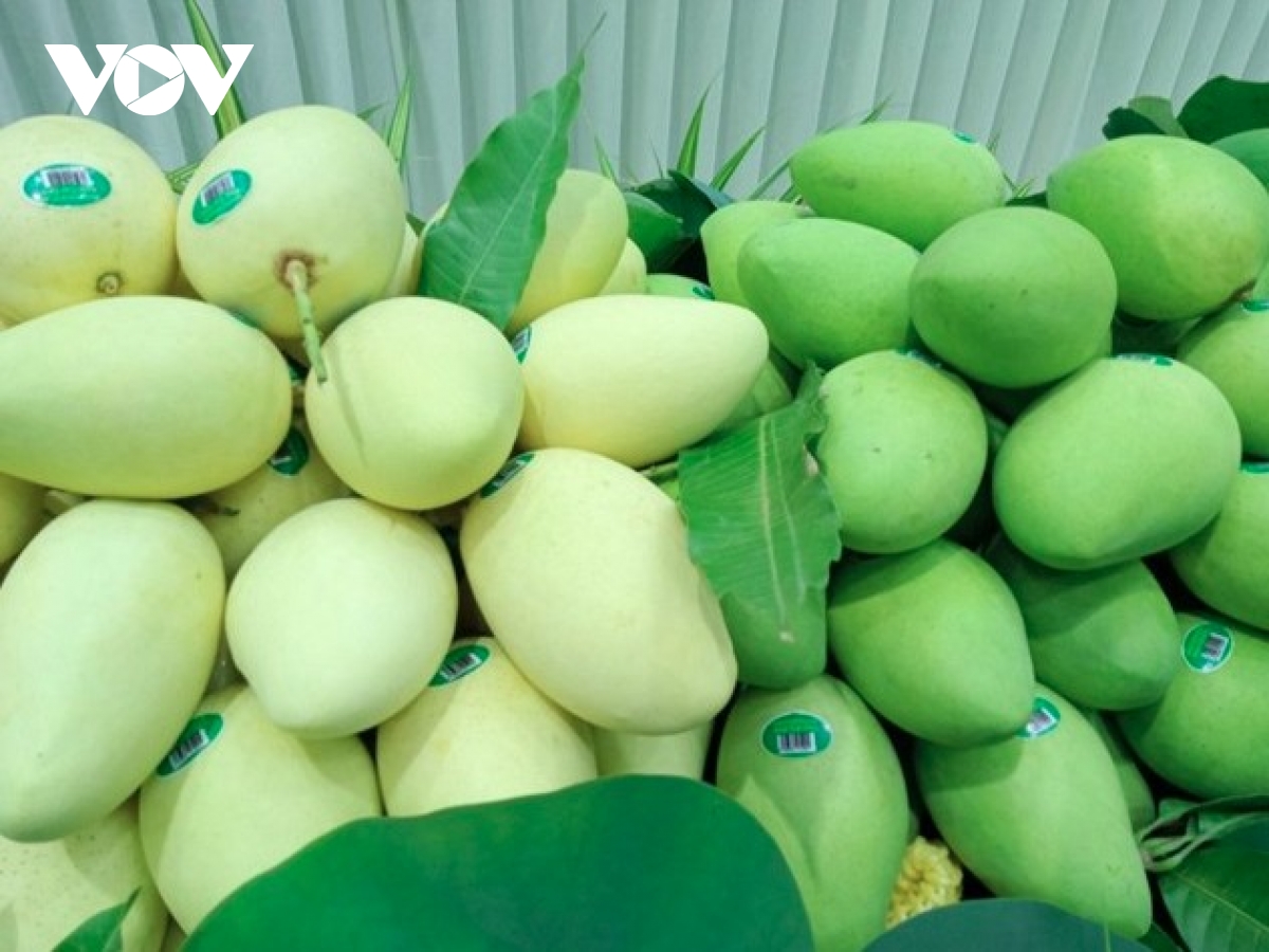 Vietnam’s agricultural exports move beyond low-cost competition