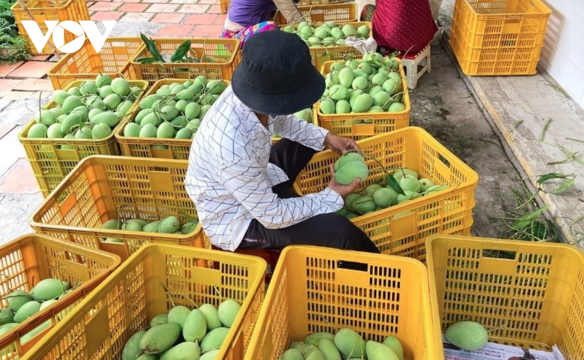 Four-month farm exports show steady gains