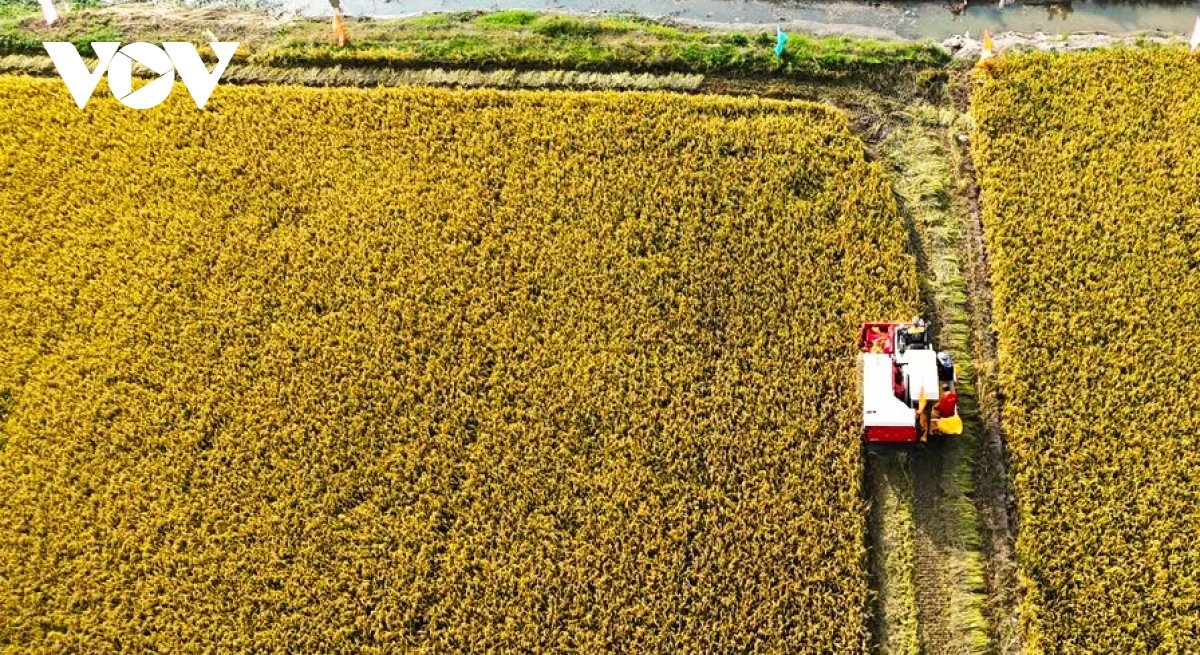 an giang Đẩy mạnh chuyển đổi số hướng tới nông nghiệp thông minh hình ảnh 1 an giang Day manh chuyen doi so huong toi nong nghiep thong minh hinh anh 1