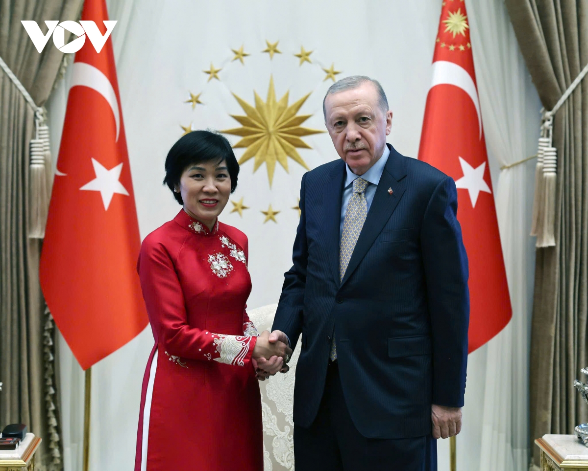 Đại sứ Đặng thị thu hà trình quốc thư lên tổng thống thổ nhĩ kỳ tayyip erdo an hình ảnh 1 Dai su Dang thi thu ha trinh quoc thu len tong thong tho nhi ky tayyip erdo an hinh anh 1