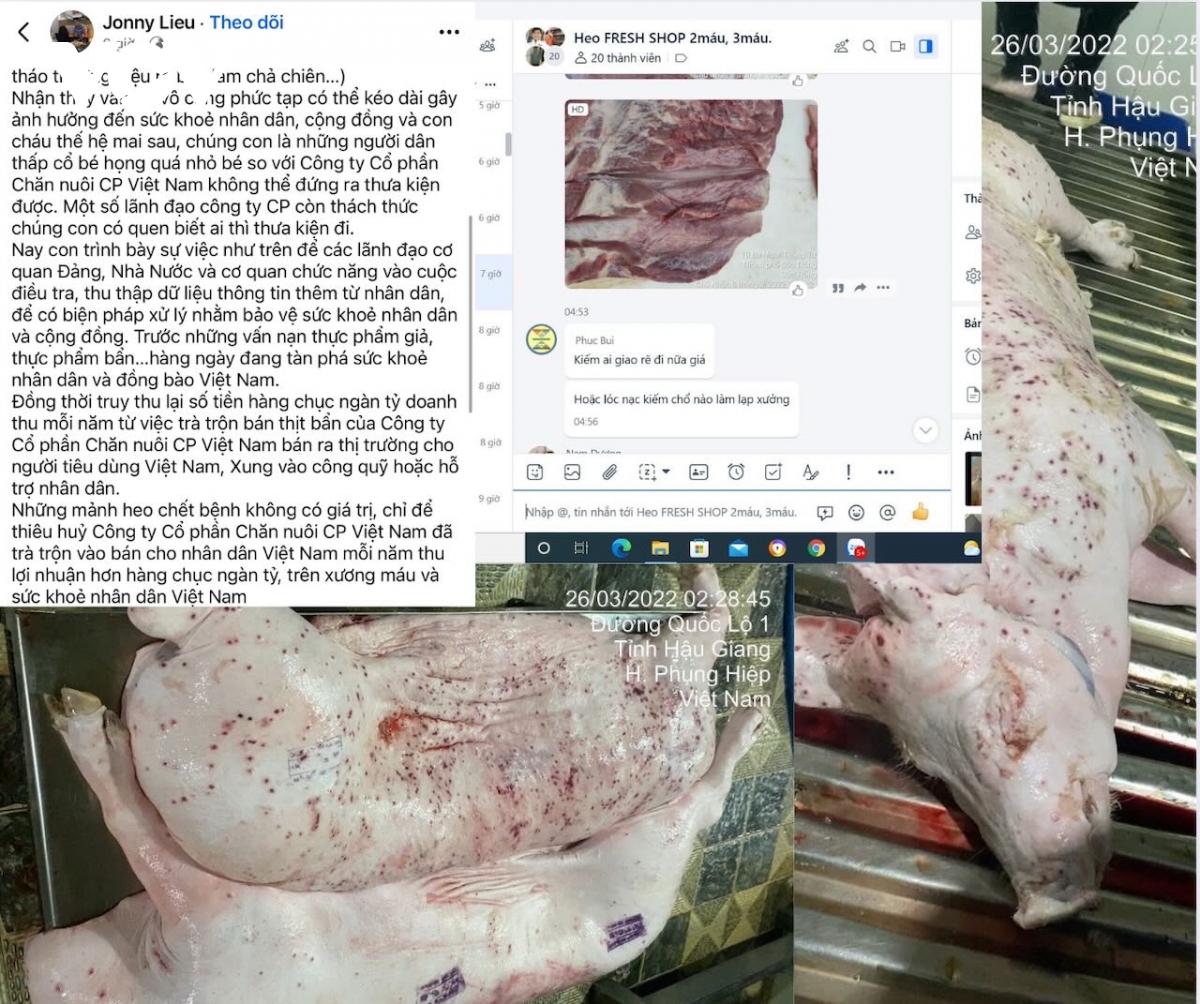 xuất hiện tố cáo c.p việt nam bán thịt heo bệnh, người trong cuộc nói gì hình ảnh 1 xuat hien to cao c.p viet nam ban thit heo benh, nguoi trong cuoc noi gi hinh anh 1