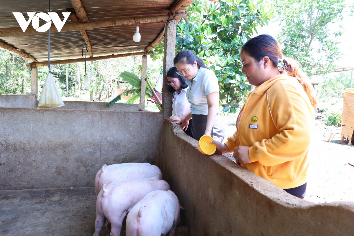 sổ tiết kiệm búa liềm vàng học bác bằng hành động thiết thực hình ảnh 2 so tiet kiem bua liem vang hoc bac bang hanh dong thiet thuc hinh anh 2