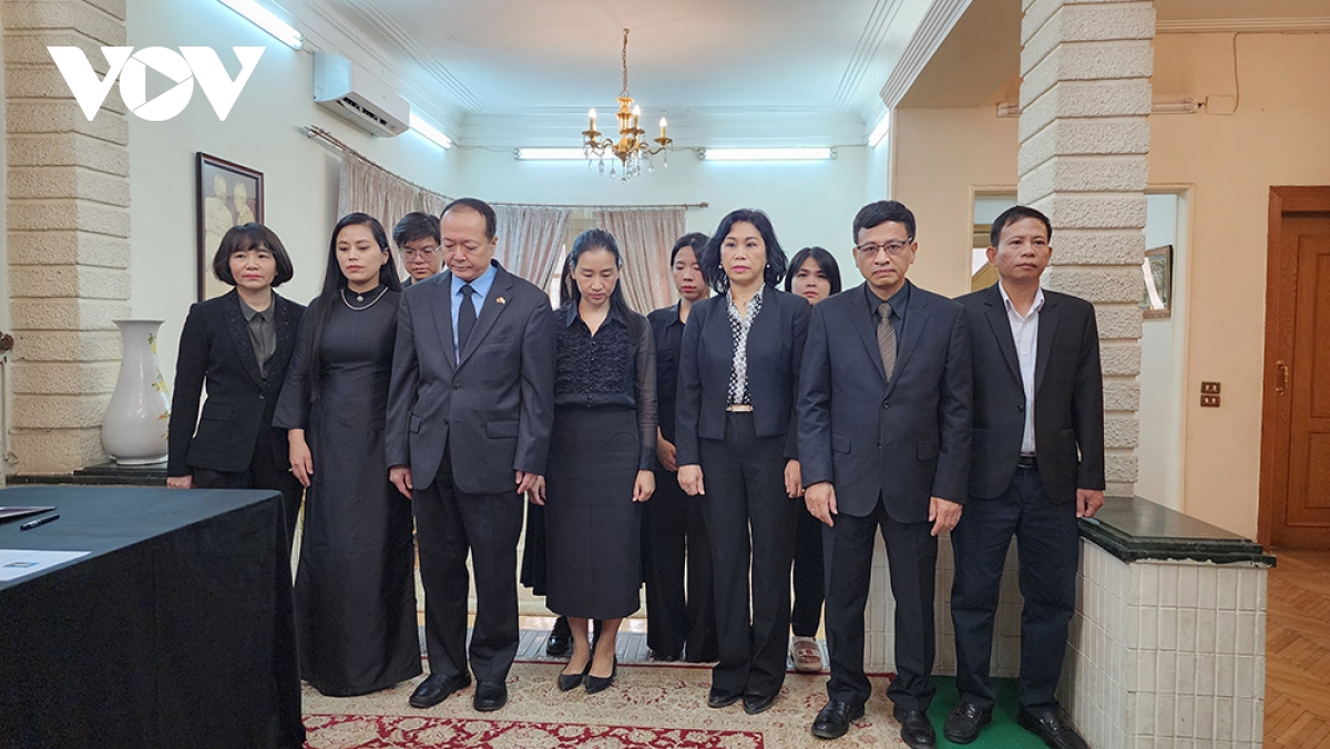 Đsq việt nam tại ai cập tổ chức lễ viếng nguyên chủ tịch nước trần Đức lương hình ảnh 1 Dsq viet nam tai ai cap to chuc le vieng nguyen chu tich nuoc tran Duc luong hinh anh 1