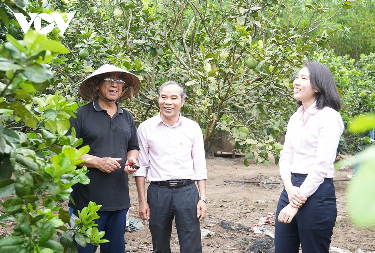 người dân miền núi quảng ngãi mạnh dạn vay vốn làm ăn, từng bước thoát nghèo hình ảnh 3 nguoi dan mien nui quang ngai manh dan vay von lam an, tung buoc thoat ngheo hinh anh 3
