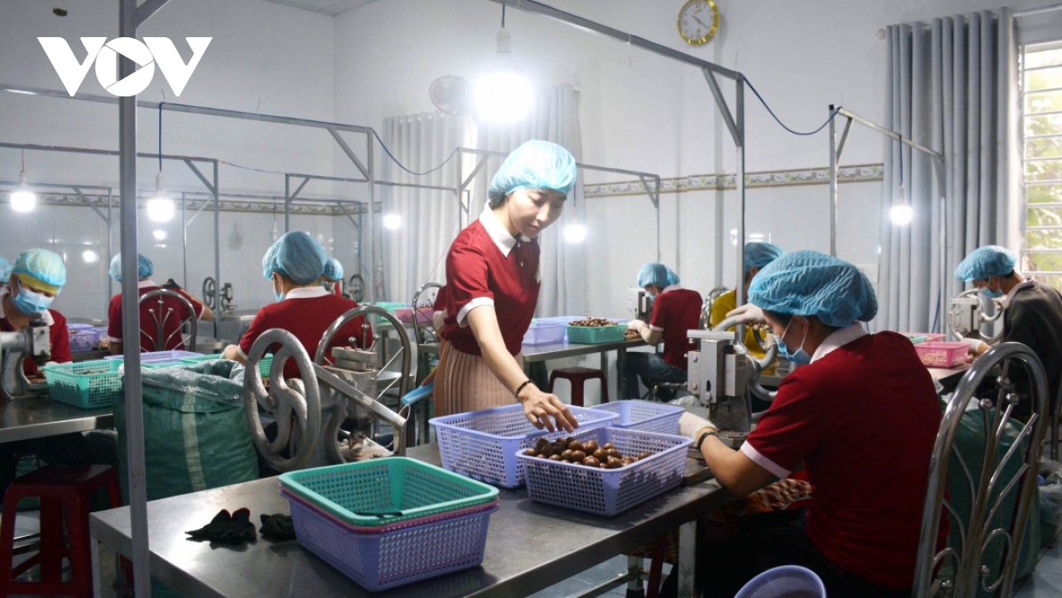 chuyên gia adb thúc đẩy hội nhập kinh tế toàn cầu là bước đi đúng của việt nam hình ảnh 3 chuyen gia adb thuc day hoi nhap kinh te toan cau la buoc di dung cua viet nam hinh anh 3