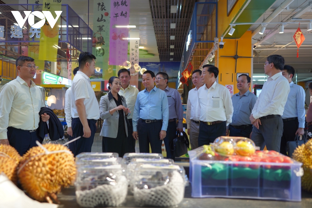 thúc đẩy thương mại nông, lâm, thuỷ sản giữa việt nam và trung quốc hình ảnh 3 thuc day thuong mai nong, lam, thuy san giua viet nam va trung quoc hinh anh 3