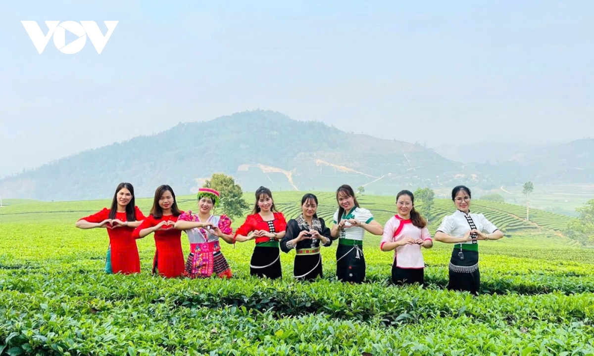 nhung doi che xanh mat thu hut du khach den lai chau hinh anh 2 nhung doi che xanh mat thu hut du khach den lai chau hinh anh 2
