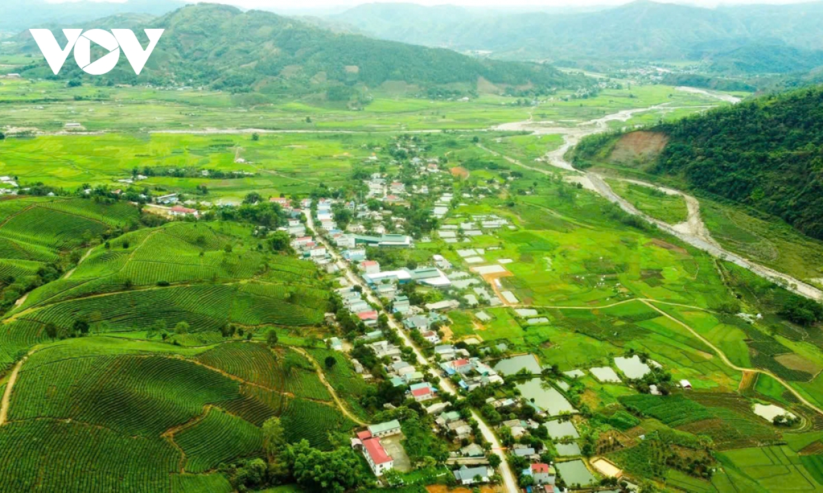 nhung doi che xanh mat thu hut du khach den lai chau hinh anh 1 nhung doi che xanh mat thu hut du khach den lai chau hinh anh 1
