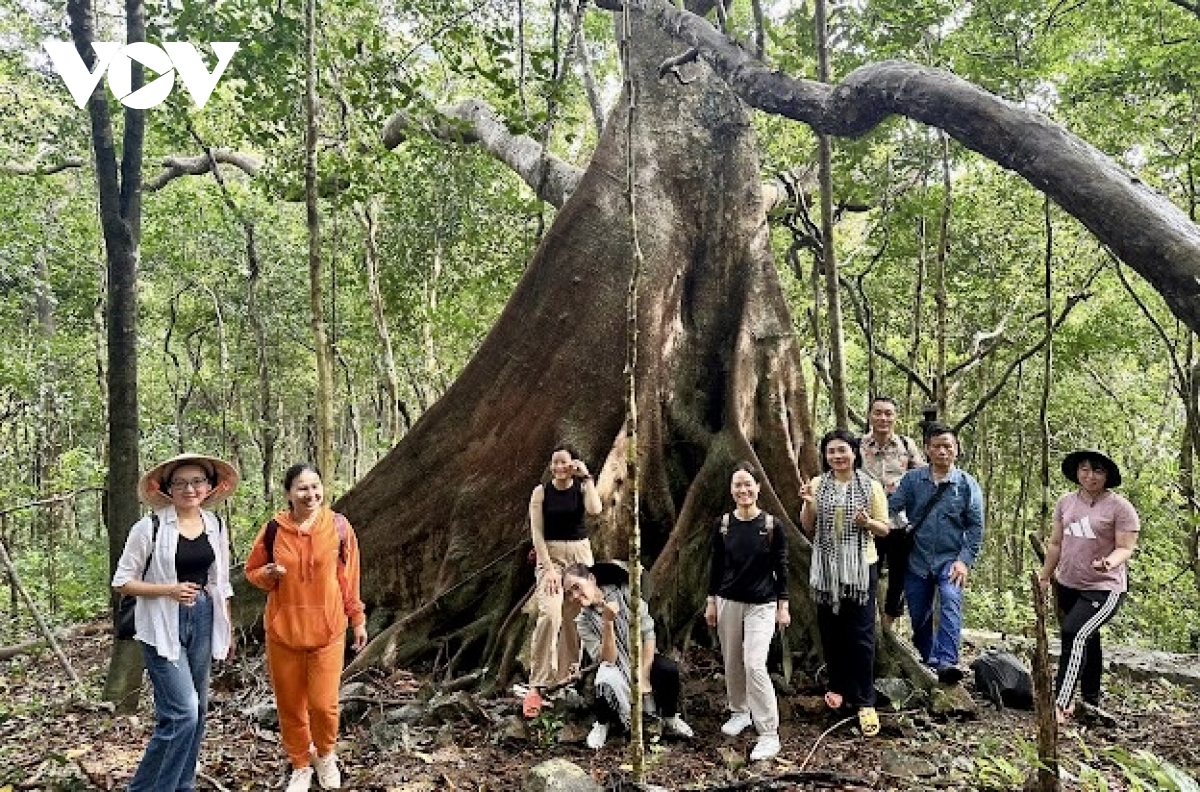 con Dao - tu dia nguc tran gian vuon minh thanh diem den hap dan hinh anh 5