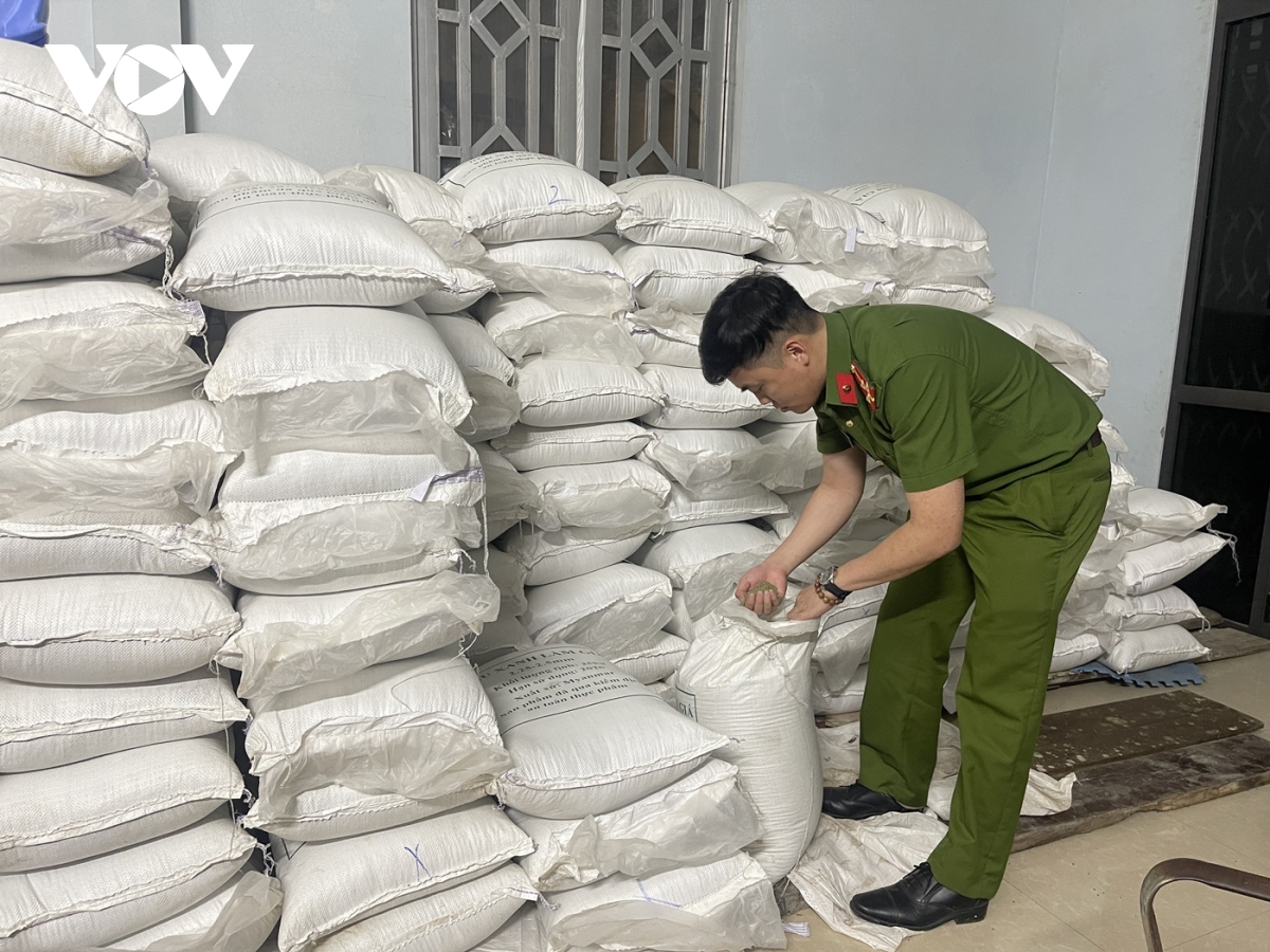 lào cai triệt phá đường dây sản xuất giá đỗ độc hại hình ảnh 1 lao cai triet pha duong day san xuat gia do doc hai hinh anh 1