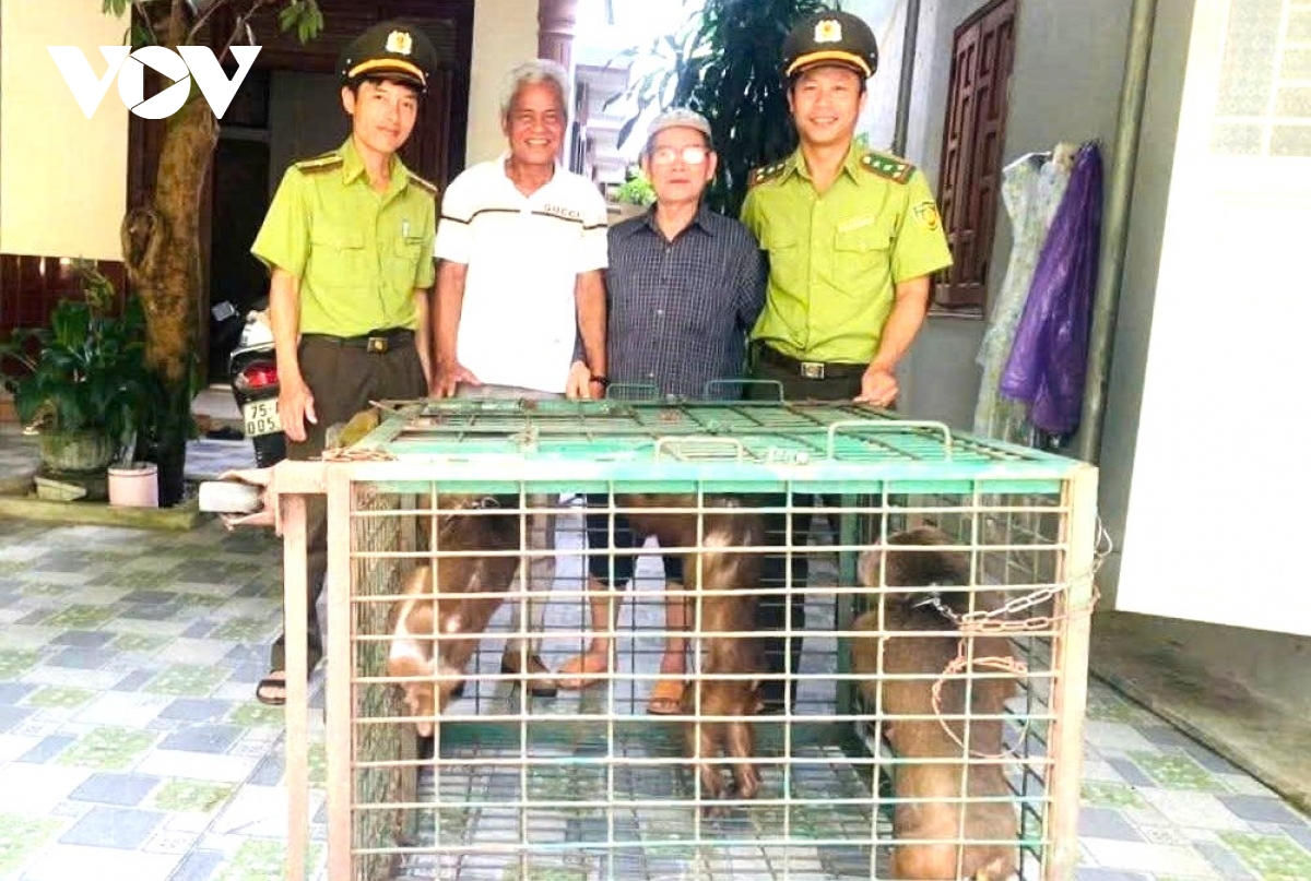 Người dân thành phố Huế giao nộp nhiều động vật hoang dã quý hiếm