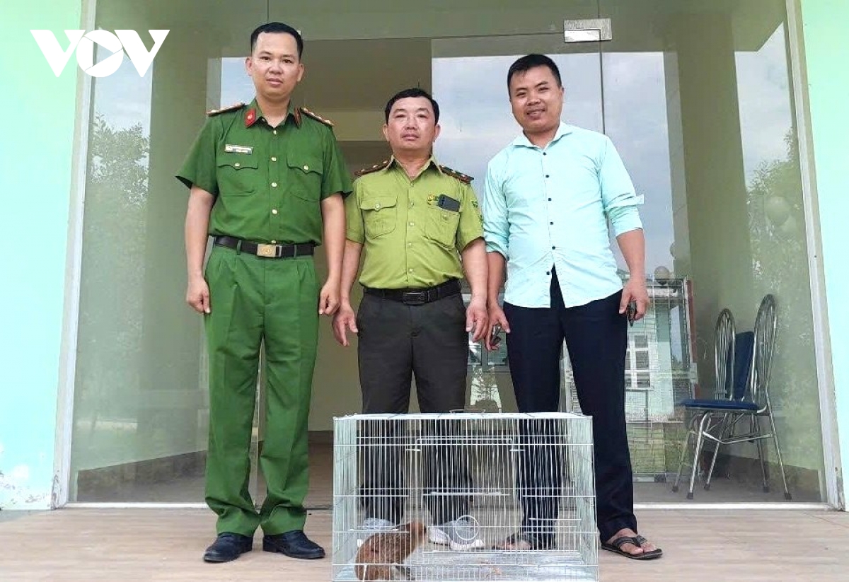 người dân thành phố huế giao nộp nhiều động vật hoang dã quý hiếm hình ảnh 2 nguoi dan thanh pho hue giao nop nhieu dong vat hoang da quy hiem hinh anh 2