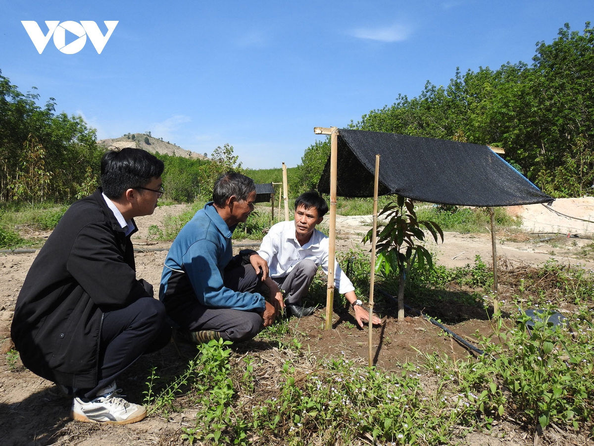 Kon Tum hỗ trợ hơn 16.500 hộ dân cải tạo vườn tạp, phát triển kinh tế