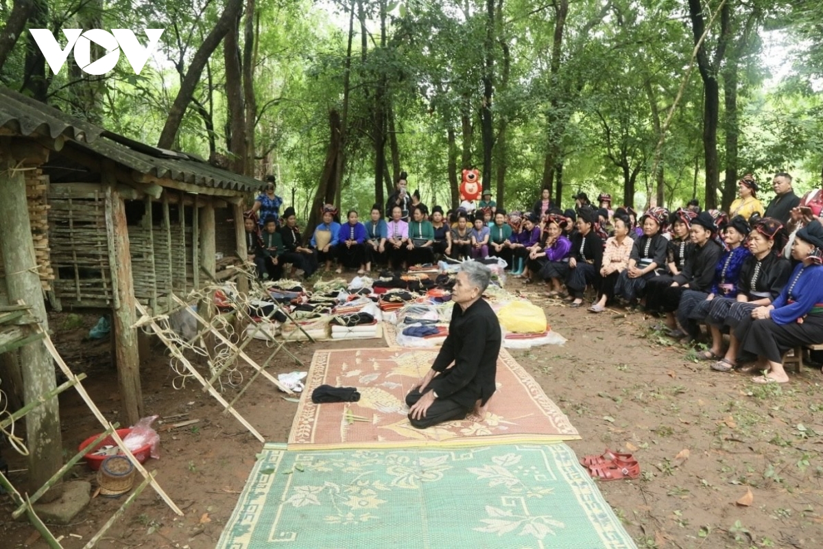 5 loại cây ở yên châu, sơn la sẽ được công nhận là cây di sản tại ngày hội xoài 2025 hình ảnh 3 5 loai cay o yen chau, son la se duoc cong nhan la cay di san tai ngay hoi xoai 2025 hinh anh 3