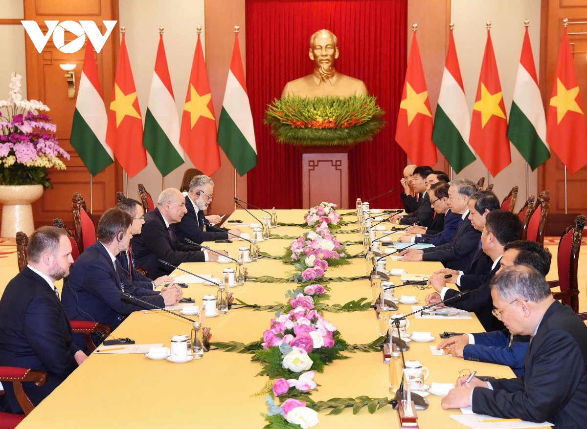 tổng bí thư tô lâm hội kiến tổng thống hungary sulyok tamás hình ảnh 2 tong bi thu to lam hoi kien tong thong hungary sulyok tamas hinh anh 2