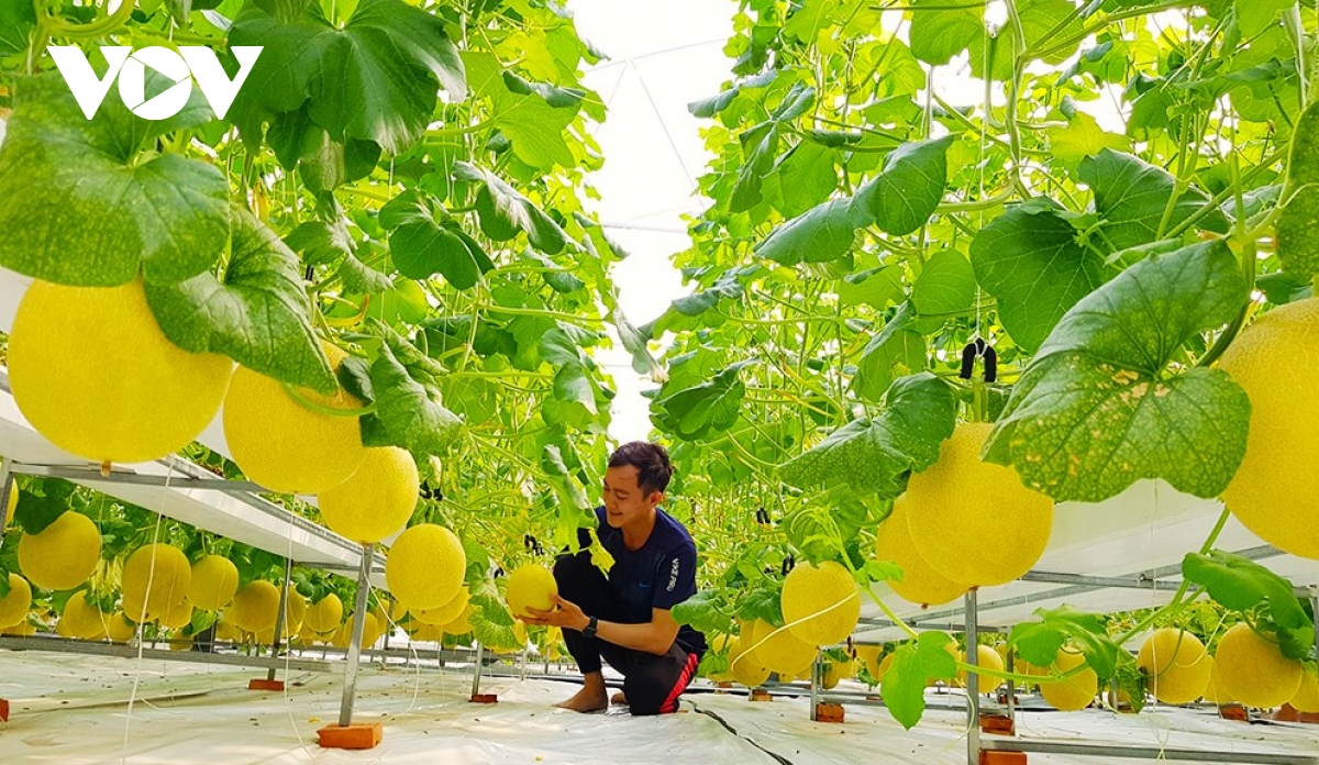 an giang Đẩy mạnh chuyển đổi số hướng tới nông nghiệp thông minh hình ảnh 5 an giang Day manh chuyen doi so huong toi nong nghiep thong minh hinh anh 5