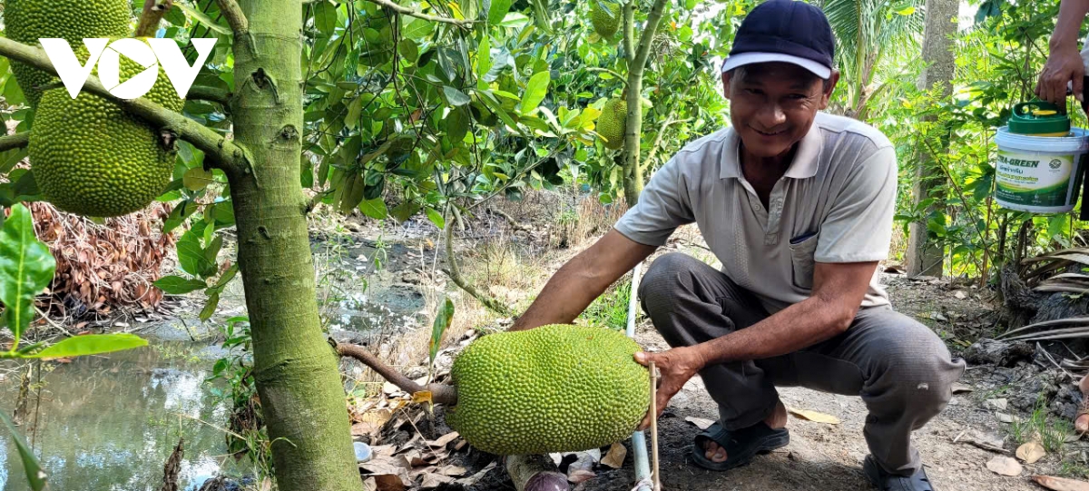 tiền giang sáp nhập với Đồng tháp tạo sức mạnh để phát triển vươn mình hình ảnh 4 tien giang sap nhap voi Dong thap tao suc manh de phat trien vuon minh hinh anh 4