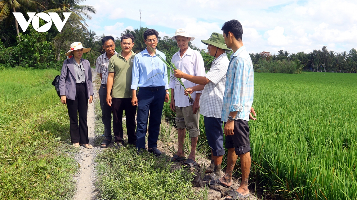 Khuyến nông thay đổi sản xuất nông nghiệp theo hướng nâng cao giá trị nông sản