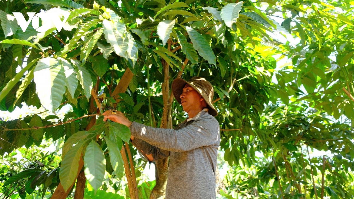 lâm Đồng chú trọng phát triển đảng viên ưu tú trong vùng dân tộc thiểu số hình ảnh 1 lam Dong chu trong phat trien dang vien uu tu trong vung dan toc thieu so hinh anh 1