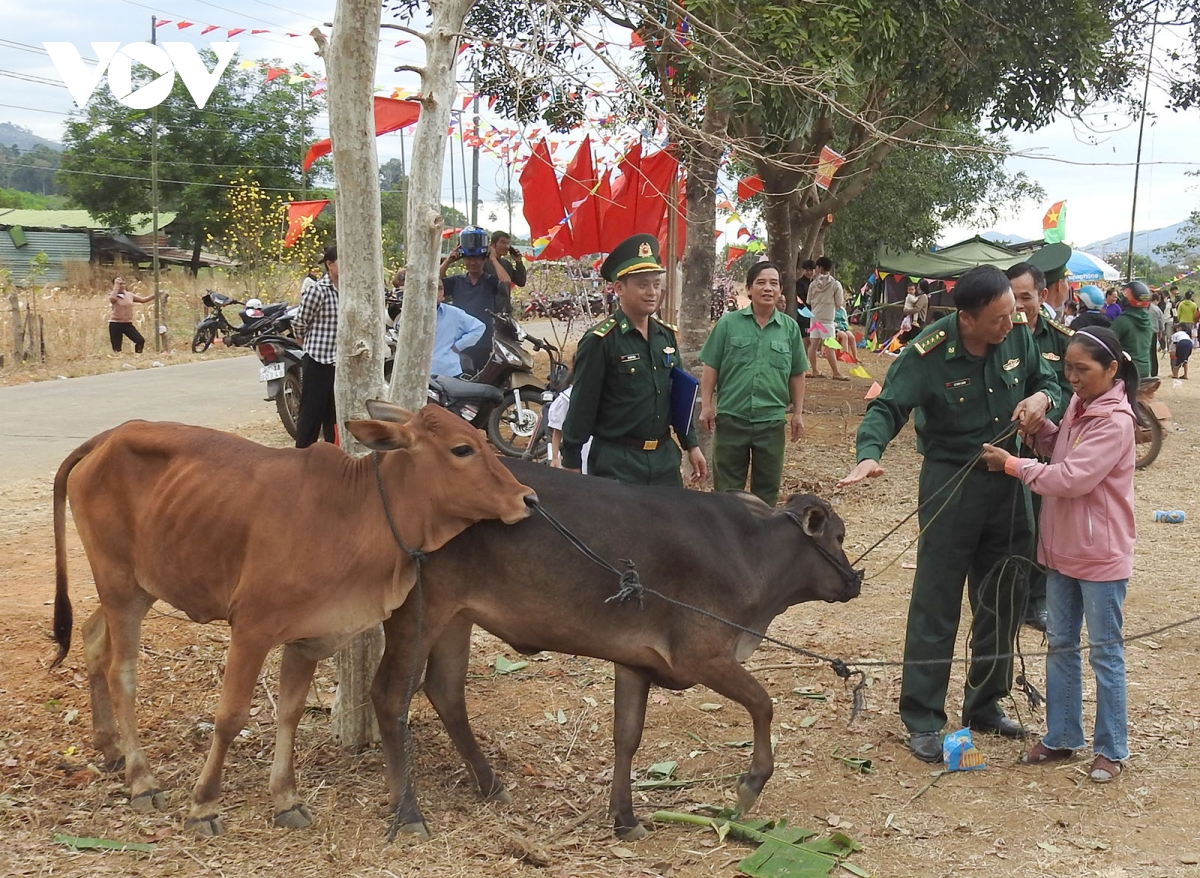 lan toả mạnh mẽ việc học và làm theo gương bác hồ ở kon tum hình ảnh 4 lan toa manh me viec hoc va lam theo guong bac ho o kon tum hinh anh 4