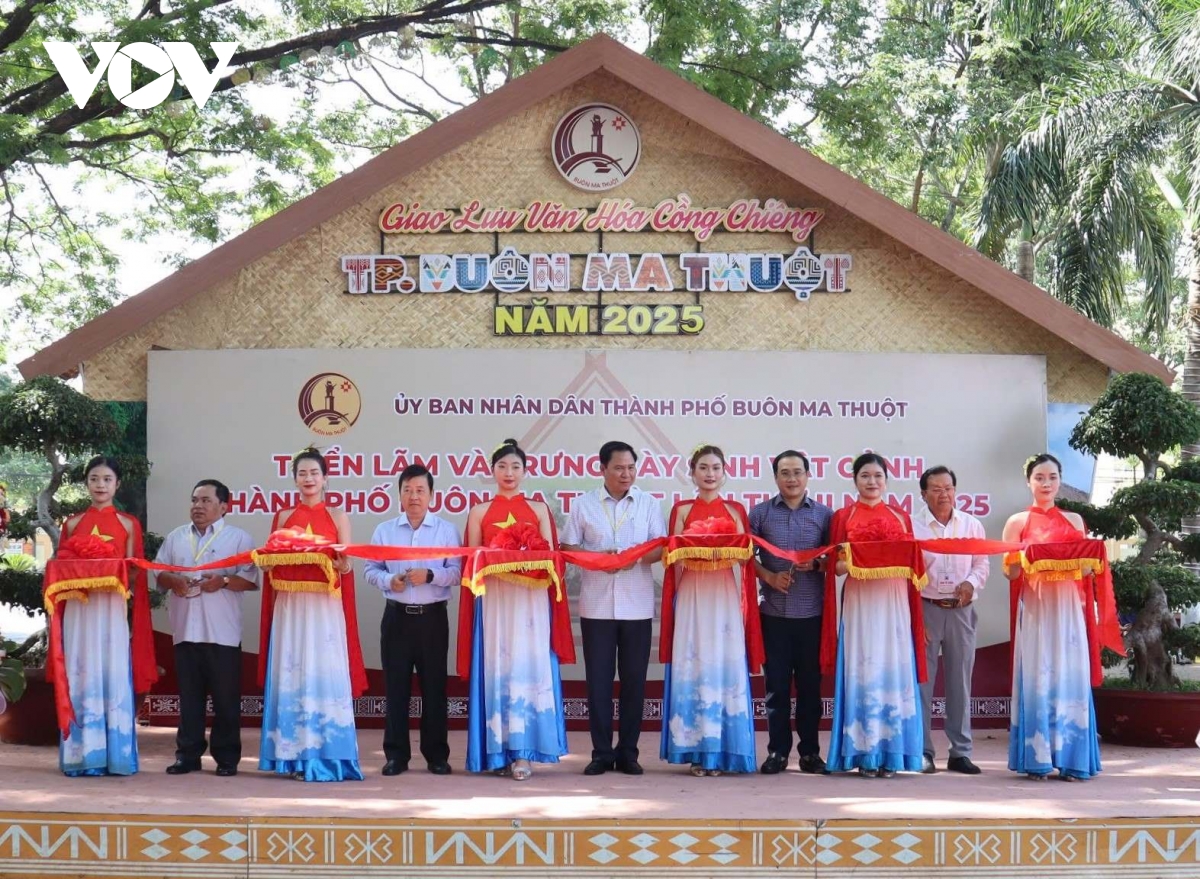 chiêm ngưỡng những gốc bằng lăng trăm tuổi quý hiếm tại buôn ma thuột hình ảnh 10 chiem nguong nhung goc bang lang tram tuoi quy hiem tai buon ma thuot hinh anh 10