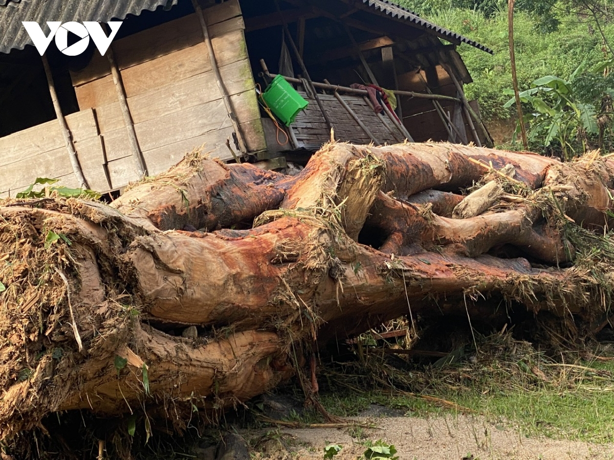 nghệ an lũ quét cuốn trôi 3 nhà dân hình ảnh 4 nghe an lu quet cuon troi 3 nha dan hinh anh 4