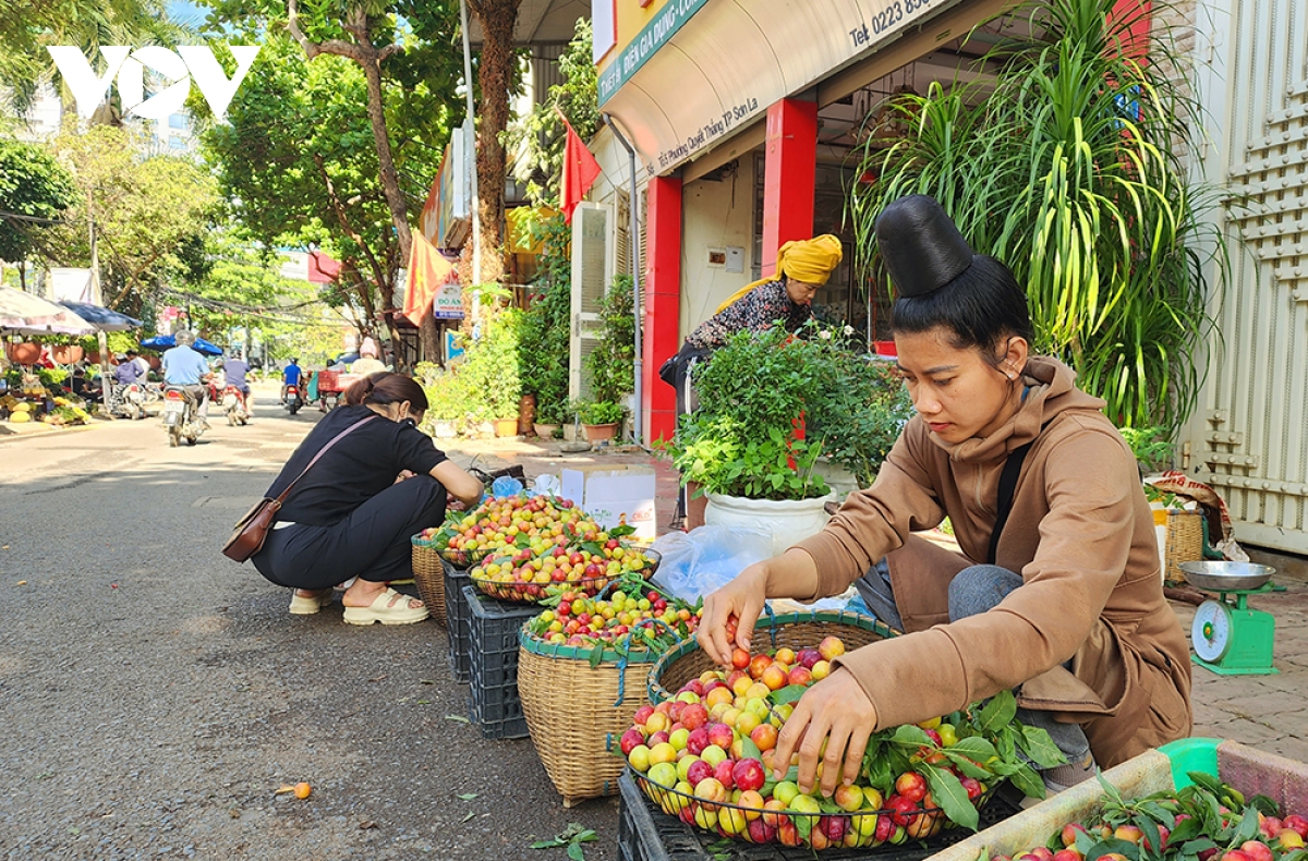 mận tam hoa cherry sơn la đắt hàng dịp nghỉ lễ hình ảnh 2 man tam hoa cherry son la dat hang dip nghi le hinh anh 2
