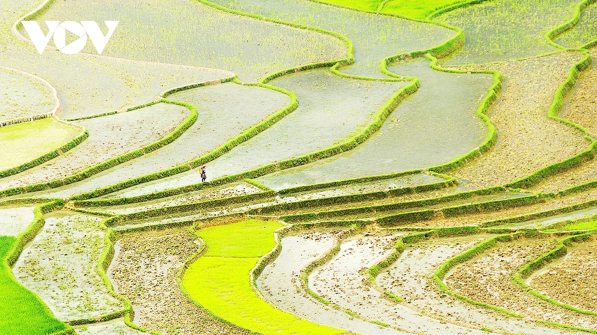kham pha ruong bac thang mu cang chai mua nuoc do hinh anh 8