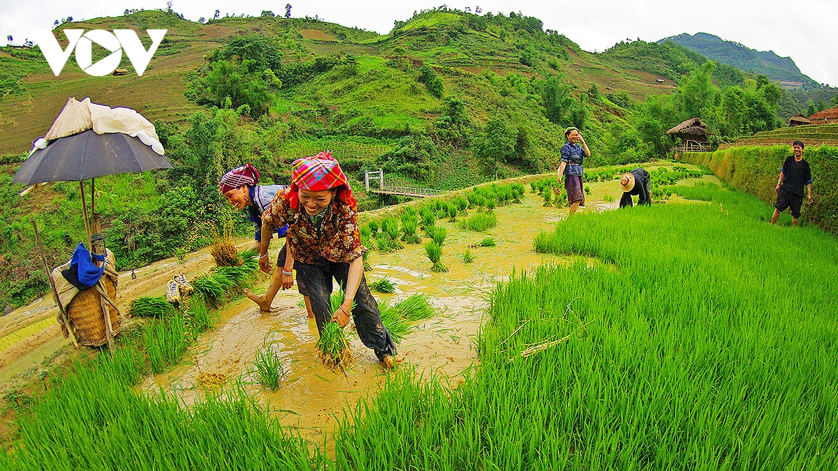 kham pha ruong bac thang mu cang chai mua nuoc do hinh anh 6